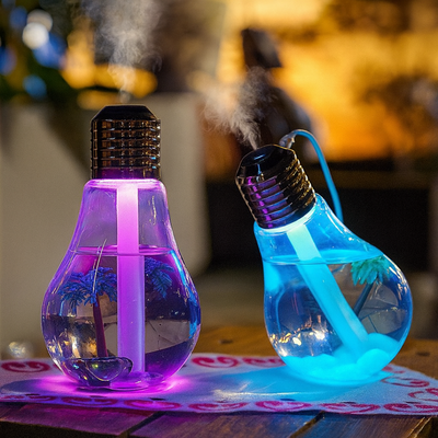 Light Bulb Humidifier