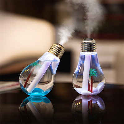 Light Bulb Humidifier