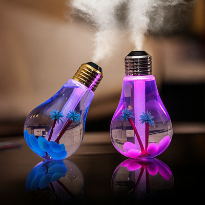 Light Bulb Humidifier